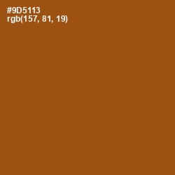#9D5113 - Hawaiian Tan Color Image