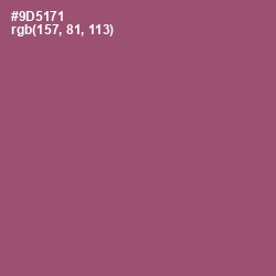 #9D5171 - Cannon Pink Color Image