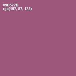 #9D577B - Cannon Pink Color Image