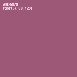 #9D5878 - Cannon Pink Color Image