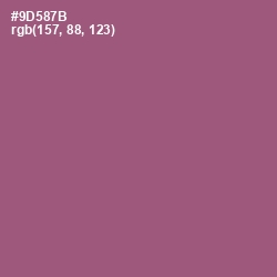 #9D587B - Cannon Pink Color Image