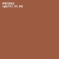 #9D5B42 - Sepia Skin Color Image