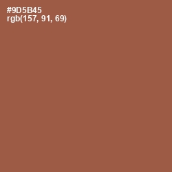 #9D5B45 - Sepia Skin Color Image