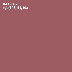 #9D5B62 - Cannon Pink Color Image