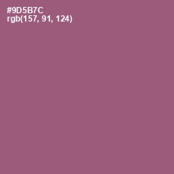 #9D5B7C - Cannon Pink Color Image