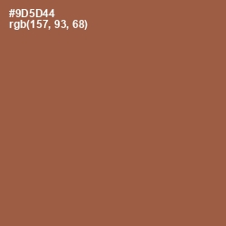 #9D5D44 - Sepia Skin Color Image