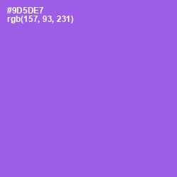 #9D5DE7 - Medium Purple Color Image