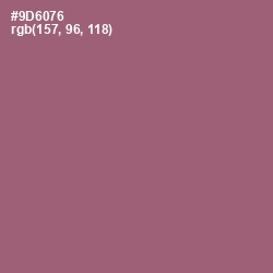 #9D6076 - Copper Rose Color Image