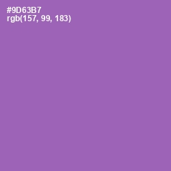 #9D63B7 - Wisteria Color Image
