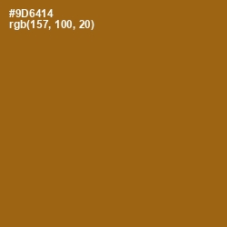 #9D6414 - Corn Harvest Color Image
