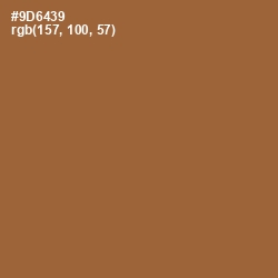 #9D6439 - Kumera Color Image