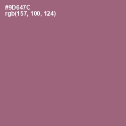 #9D647C - Bazaar Color Image