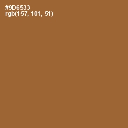 #9D6533 - Kumera Color Image