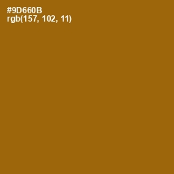 #9D660B - Corn Harvest Color Image