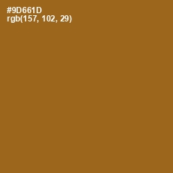 #9D661D - Corn Harvest Color Image