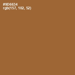 #9D6634 - Kumera Color Image