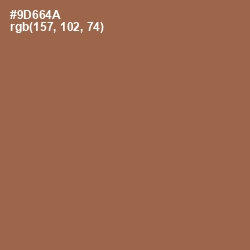 #9D664A - Leather Color Image