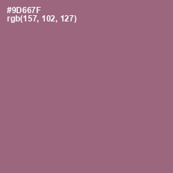 #9D667F - Bazaar Color Image