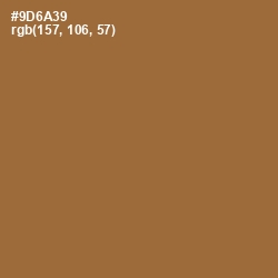 #9D6A39 - Kumera Color Image
