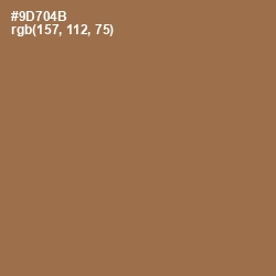 #9D704B - Leather Color Image