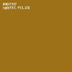 #9D7117 - Corn Harvest Color Image