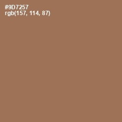 #9D7257 - Leather Color Image