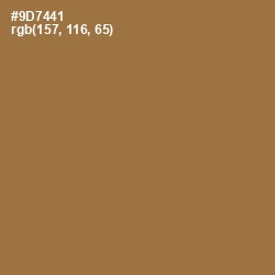 #9D7441 - Leather Color Image