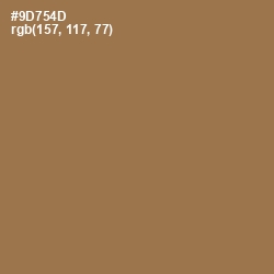 #9D754D - Leather Color Image