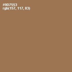 #9D7553 - Leather Color Image