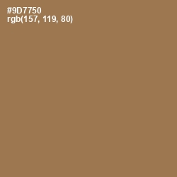 #9D7750 - Leather Color Image