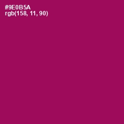 #9E0B5A - Cardinal Pink Color Image