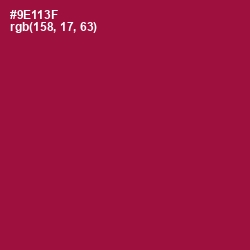 #9E113F - Paprika Color Image