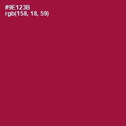 #9E123B - Paprika Color Image