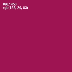 #9E1453 - Disco Color Image