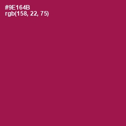 #9E164B - Disco Color Image