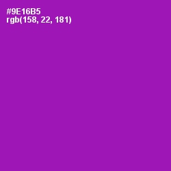 #9E16B5 - Violet Eggplant Color Image
