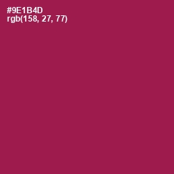 #9E1B4D - Disco Color Image