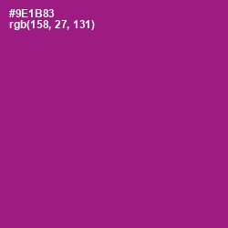 #9E1B83 - Violet Eggplant Color Image