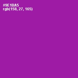 #9E1BA5 - Violet Eggplant Color Image