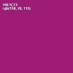 #9E1C73 - Fresh Eggplant Color Image