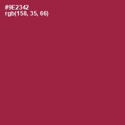 #9E2342 - Solid Pink Color Image