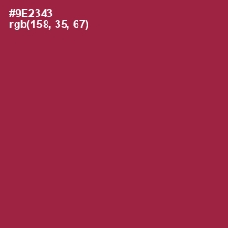 #9E2343 - Solid Pink Color Image