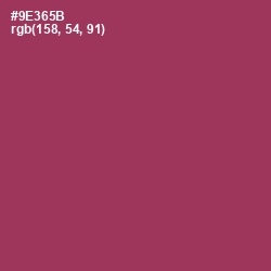#9E365B - Camelot Color Image