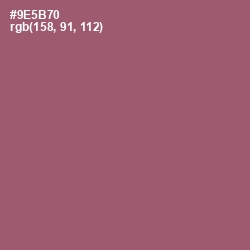 #9E5B70 - Cannon Pink Color Image