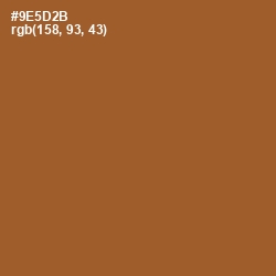 #9E5D2B - Potters Clay Color Image