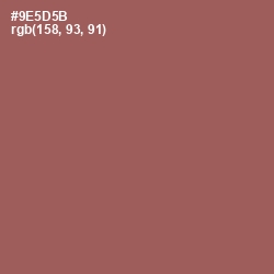 #9E5D5B - Sepia Skin Color Image