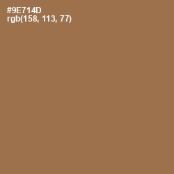 #9E714D - Leather Color Image