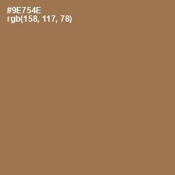 #9E754E - Leather Color Image