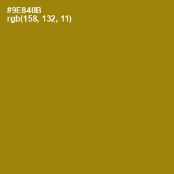 #9E840B - Reef Gold Color Image