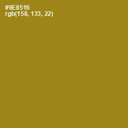 #9E8516 - Reef Gold Color Image